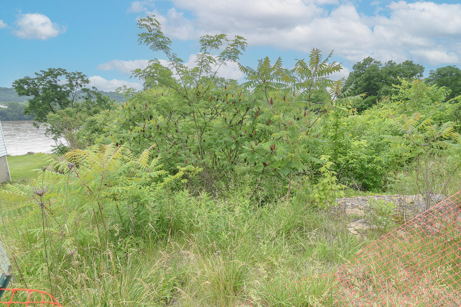 4768 River Road Hebron, KY 41048 - Photo 10 of 14