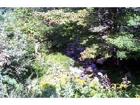 109 Pinnacle Road Lyme, NH 03768 - Photo 2 of 3 Gallery Image 2
