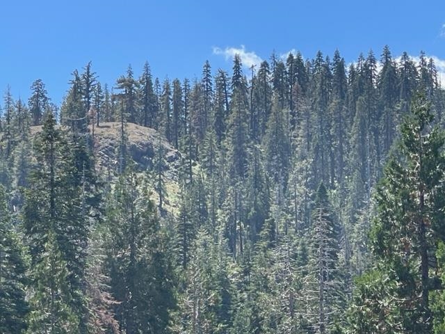 0 Big Creek Road Quincy, CA 95971 - Photo 14 of 19