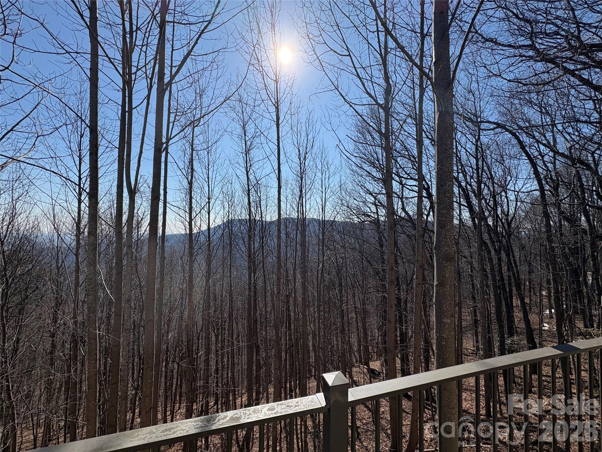 700 Summit Road Tryon, NC 28782 - Photo 20 of 27 a view of a backyard with wooden fence