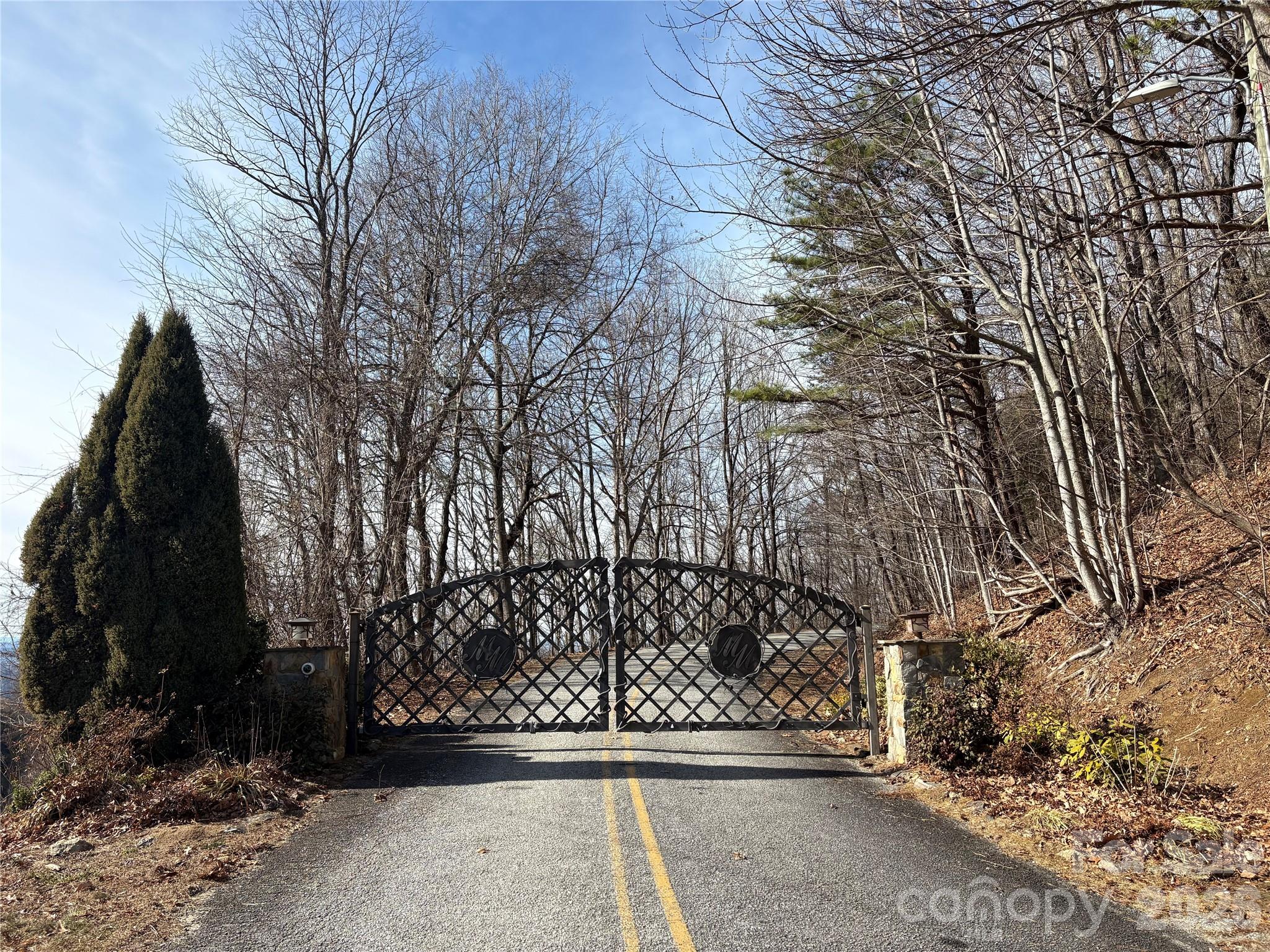 700 Summit Road Tryon, NC 28782 - Photo 3 of 27