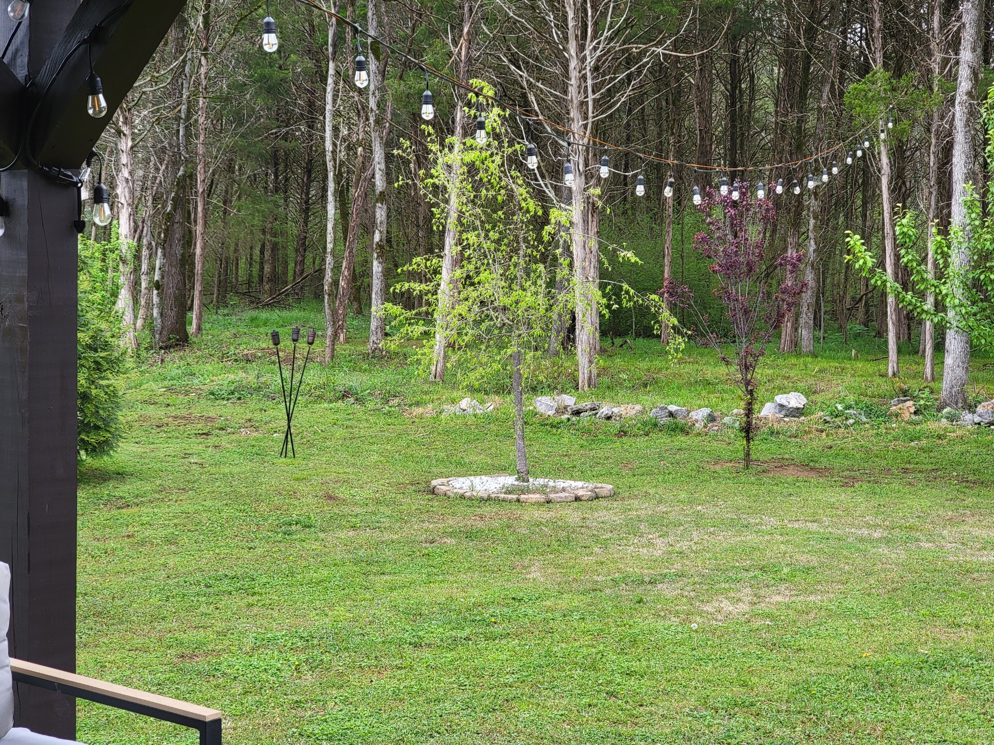 5611 Wayside Road Christiana, TN 37037 - Photo 25 of 42 Gallery Image 25