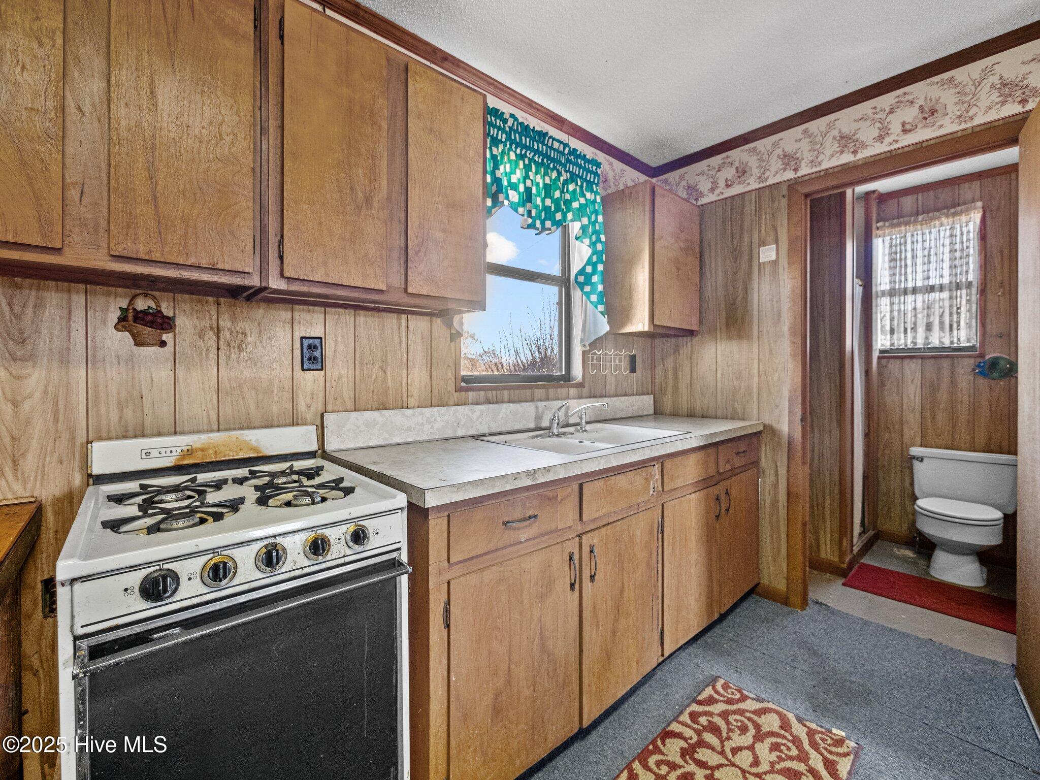 326 Ludie Brown Road Chinquapin, NC 28521 - Photo 47 of 60 57-web-or-mls-P2070448