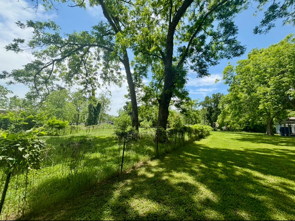 701 North Hackberry Street Sweeny, TX 77480 - Photo 4 of 12 a view of a lush green space