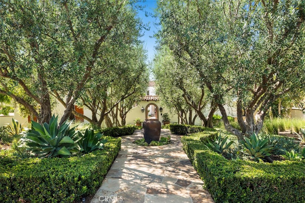 a view of a garden with large trees