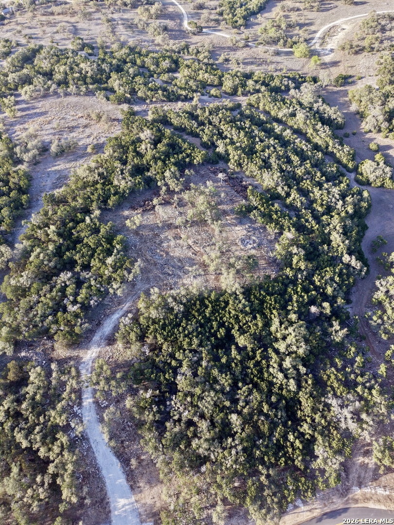 136 Cedar Forest Point Fischer, TX 78623 - Photo 14 of 18 a view of a forest with a tree