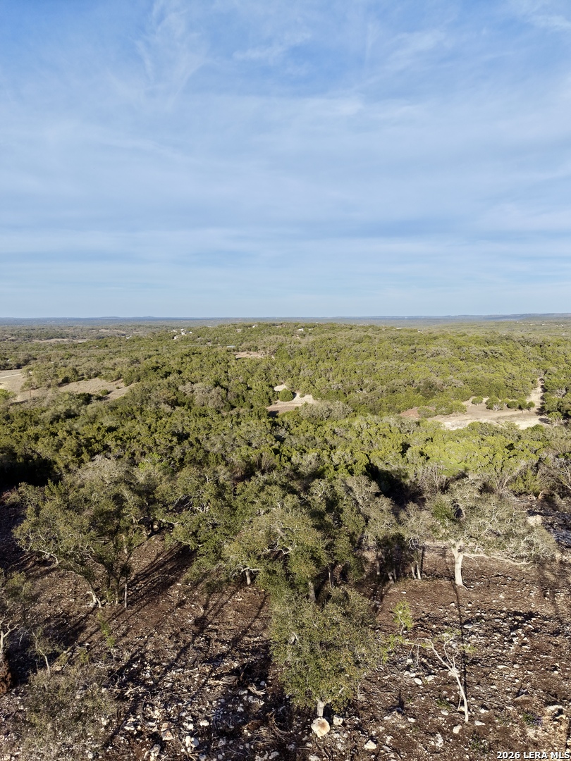 136 Cedar Forest Point Fischer, TX 78623 - Photo 8 of 18 a view of an ocean