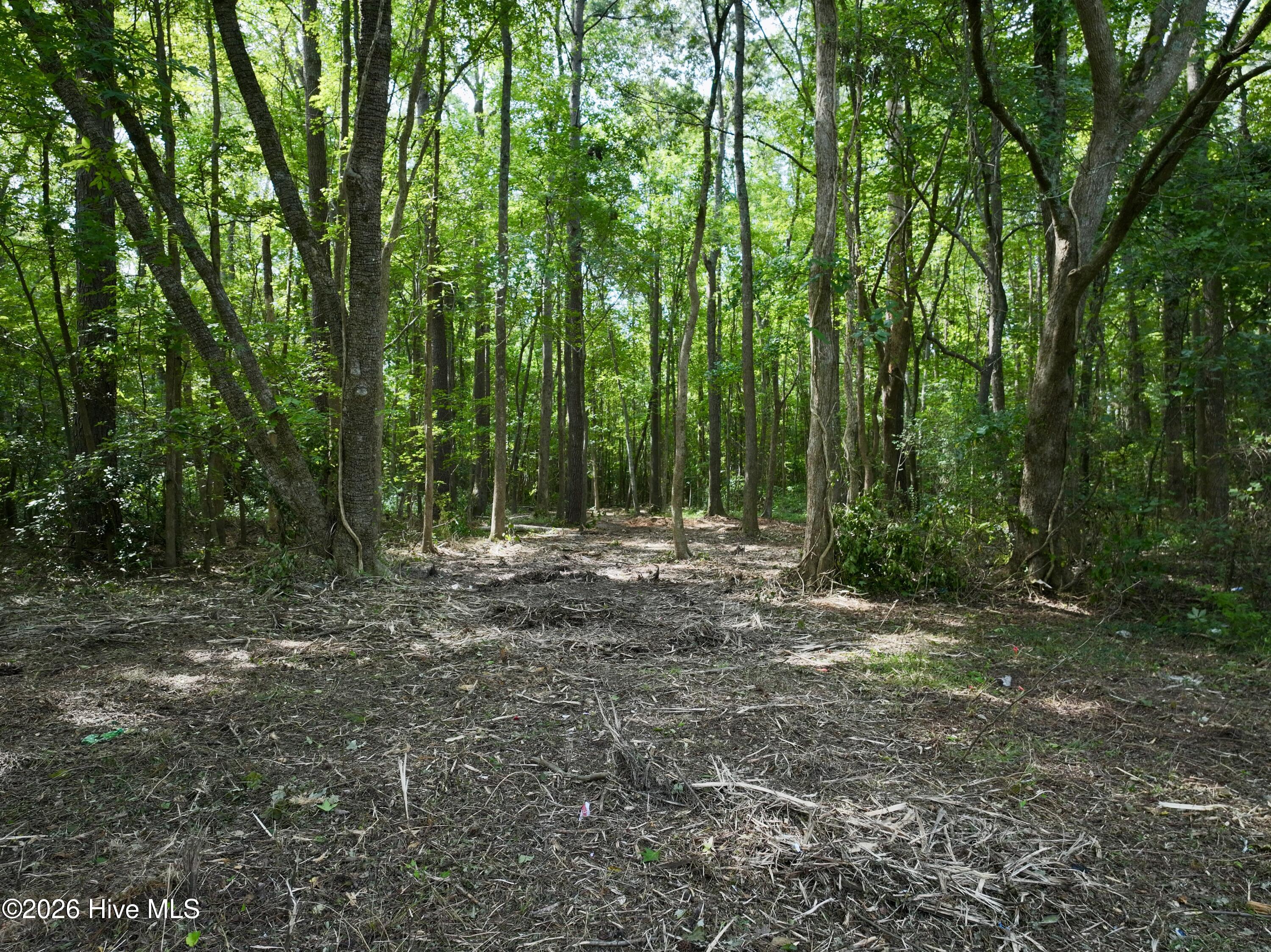Lot 2 Mobley Road Lucama, NC 27851 - Photo 15 of 20 Gallery Image 15