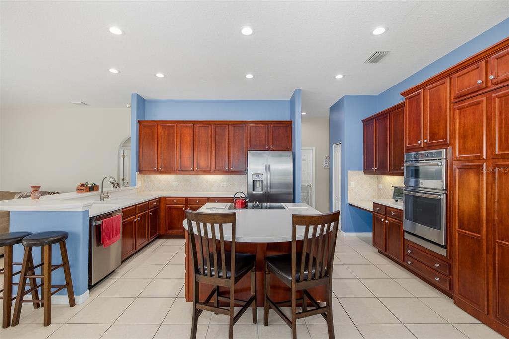 2131 Gold Dust Court Trinity, FL 34655 - Photo 4 of 65