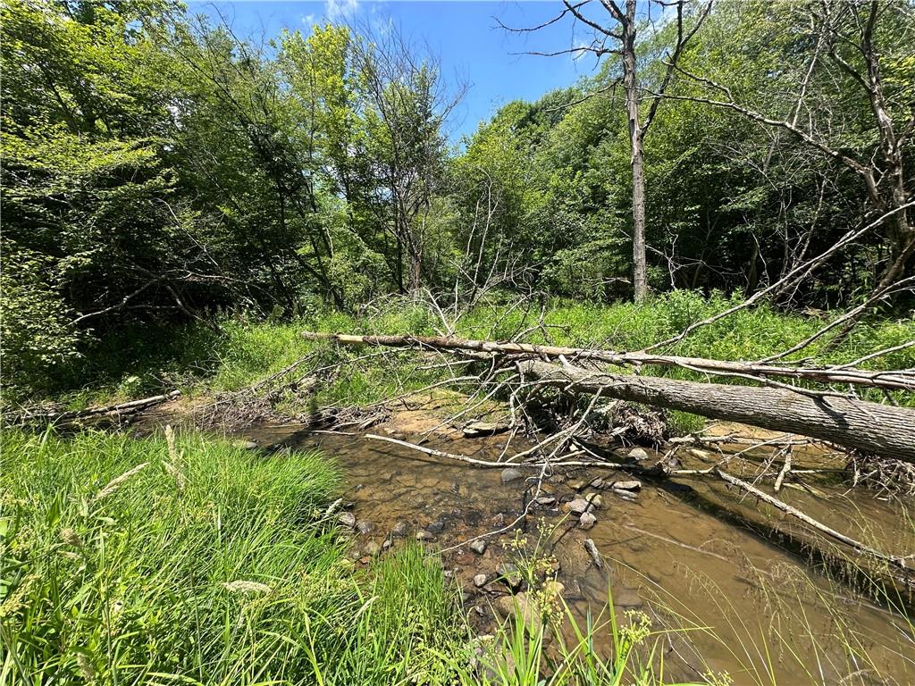 0 Cooperstown Road Cooperstown, PA 16317 - Photo 1 of 23