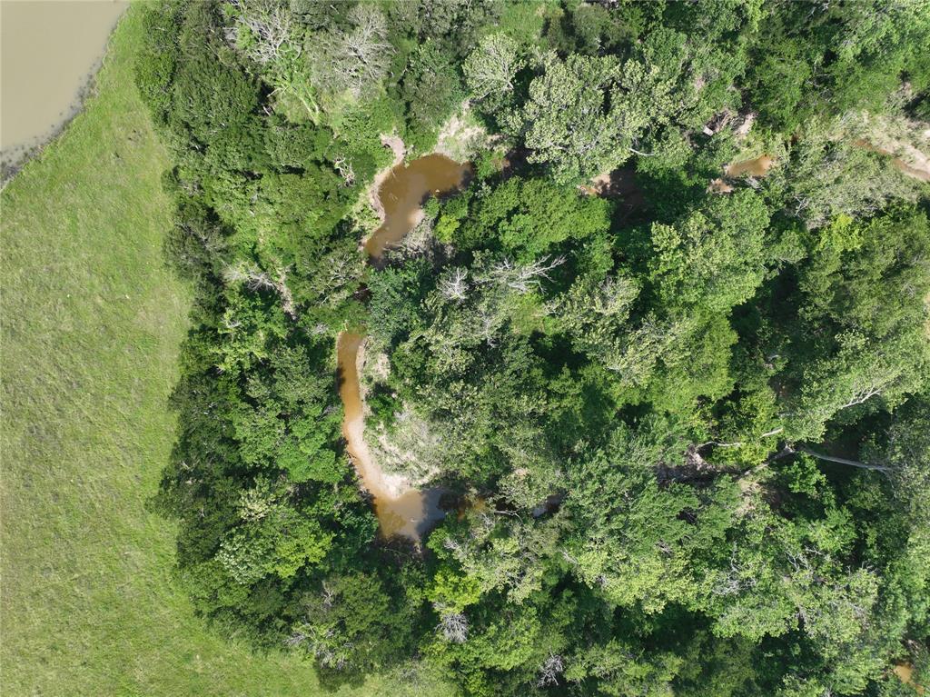 199 Cr 152 Riesel, TX 76682 - Photo 11 of 16 a view of a forest with a tree
