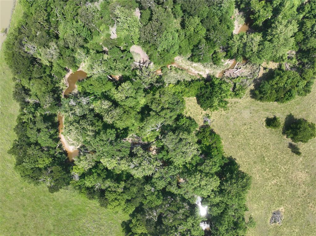 199 Cr 152 Riesel, TX 76682 - Photo 3 of 16 a view of a forest with a tree
