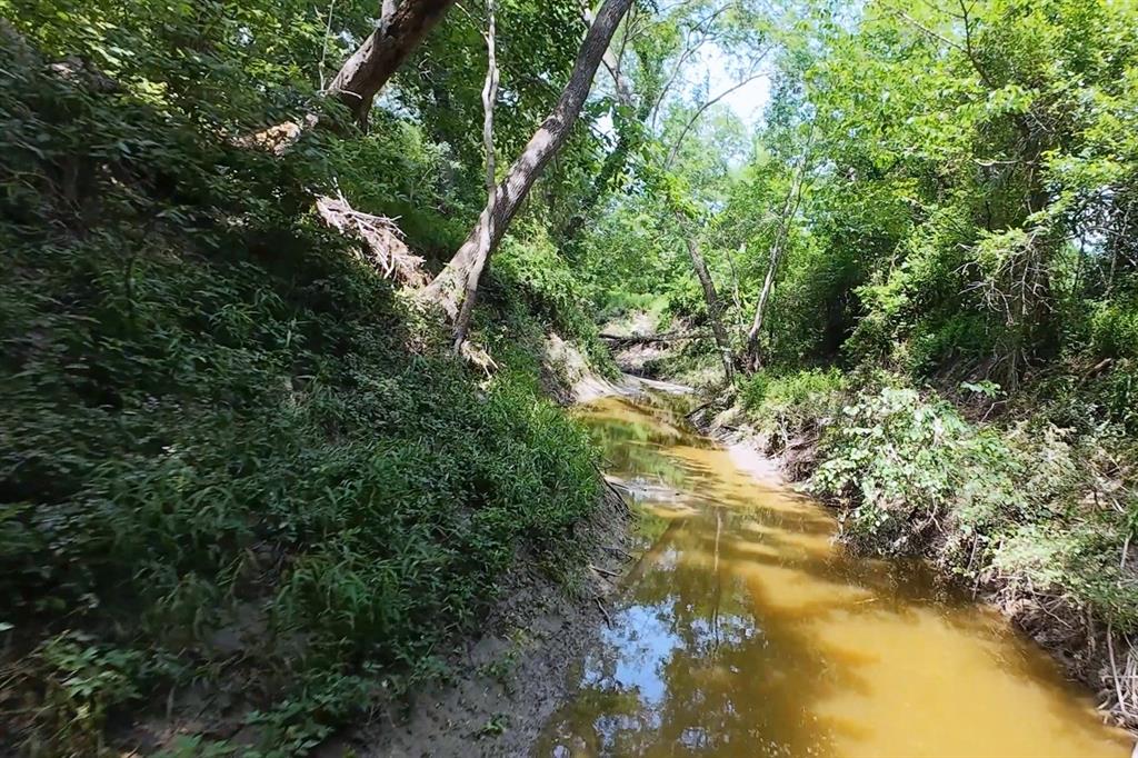 199 Cr 152 Riesel, TX 76682 - Photo 4 of 16 a view of a yard with a tree