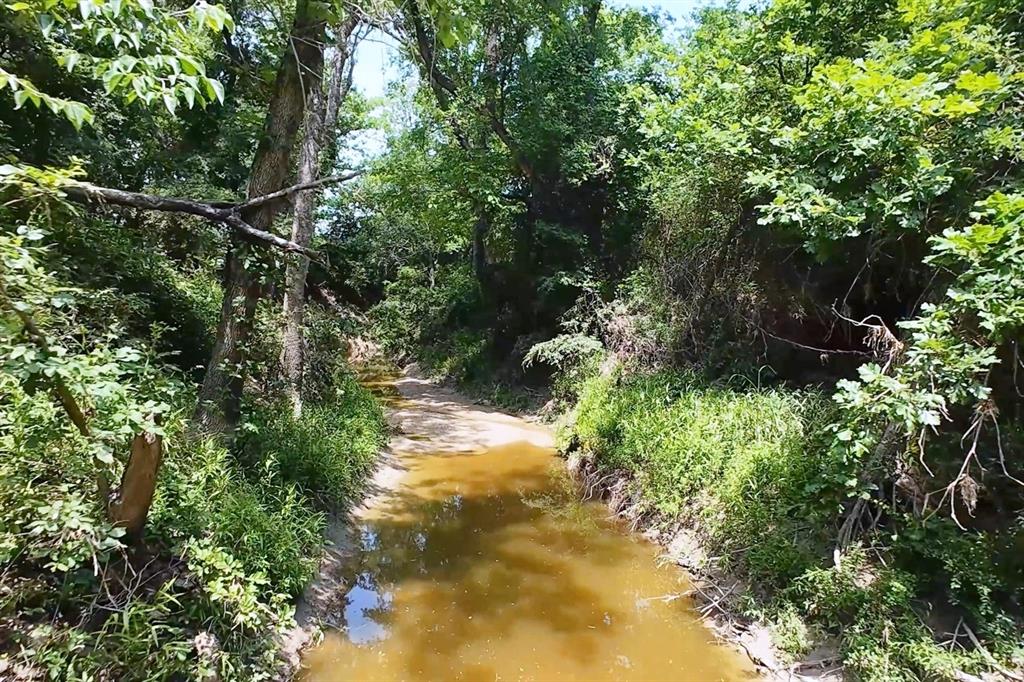 199 Cr 152 Riesel, TX 76682 - Photo 5 of 16 a view of a garden with plants