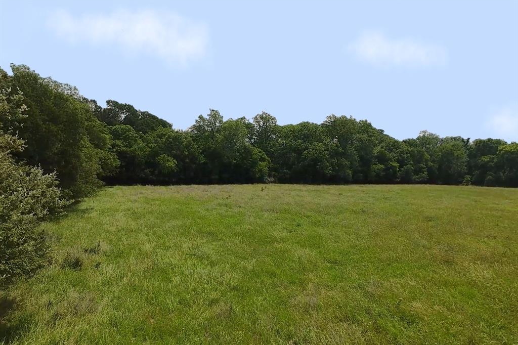 199 Cr 152 Riesel, TX 76682 - Photo 7 of 16 a view of a green field with wooden fence
