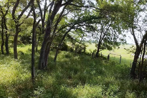 a view of a lake with a yard