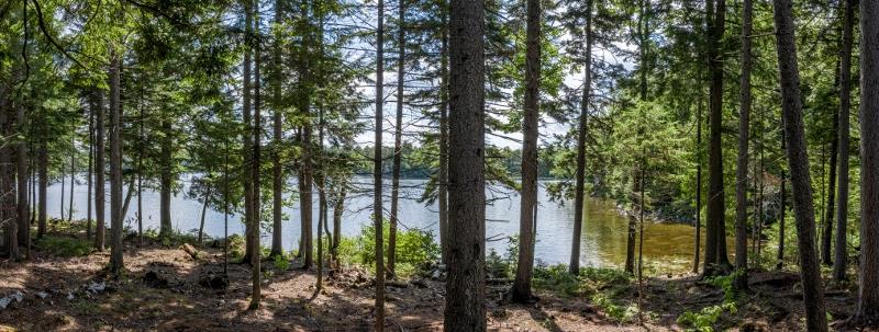 0 Mountain View Road Greenville Junction, ME 04442 - Photo 1 of 7 Moskovitz 08 - Copy (800x303)