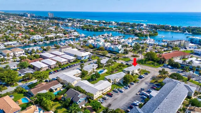 a view of a garden with potted plants