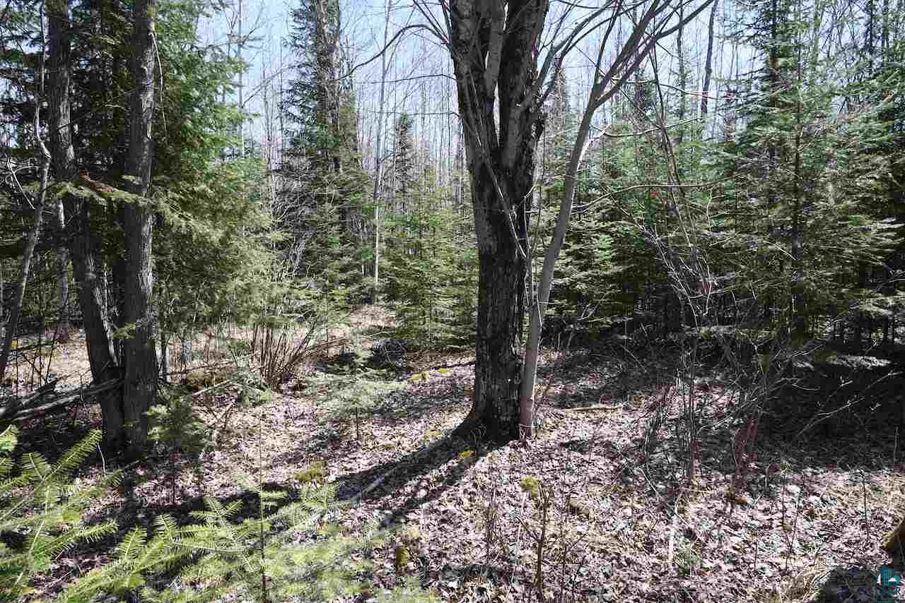 88980 Bark Point Road Herbster, WI 54844 - Photo 34 of 44 Gallery Image 34