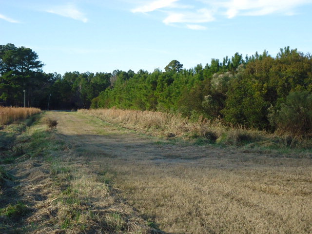 231 Squires Road Belhaven, NC 27810 - Photo 3 of 7 Additional Photo