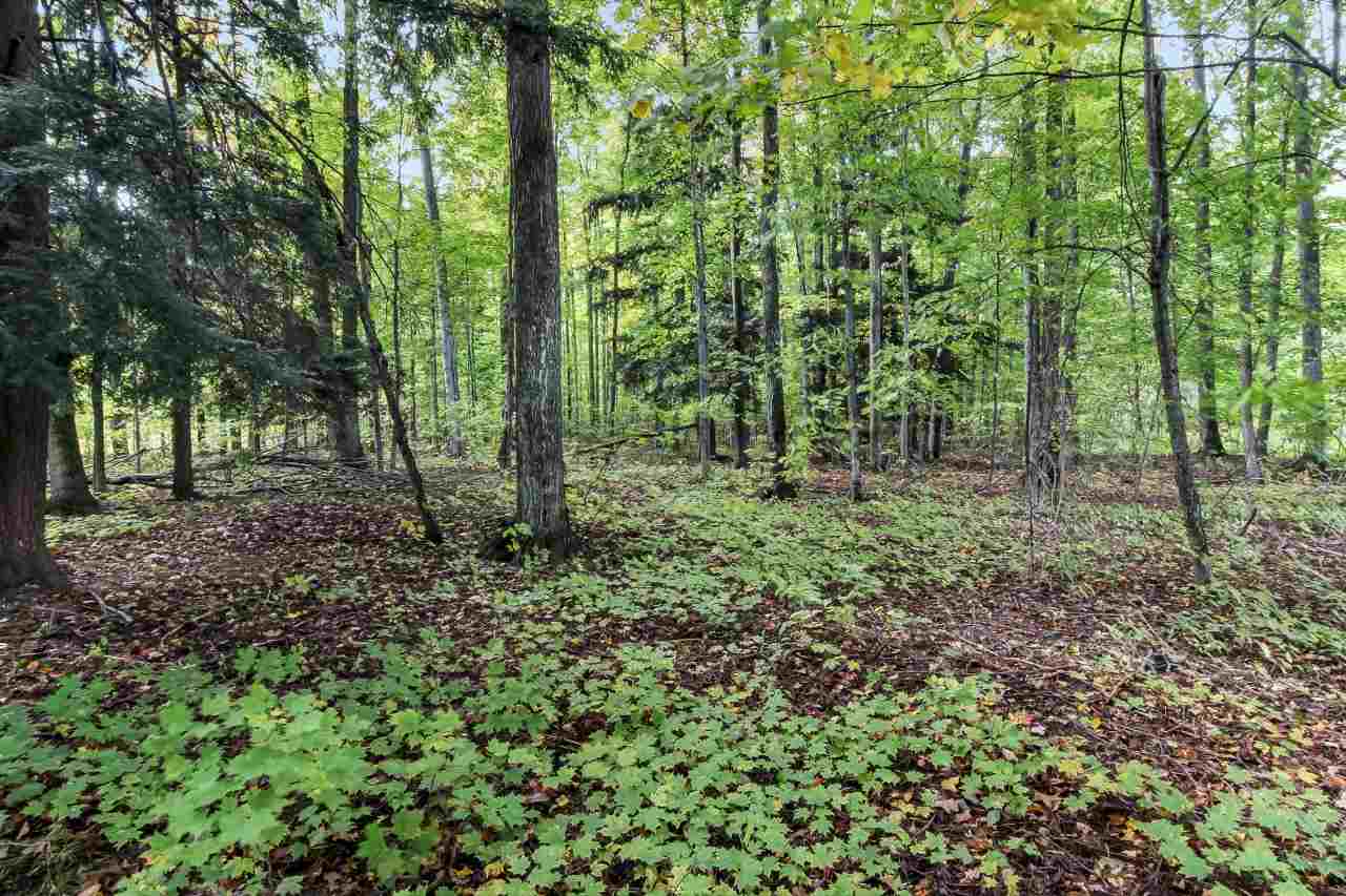 22 South Haze Road Beulah, MI 49617 - Photo 37 of 38 1868610-36.JPG
