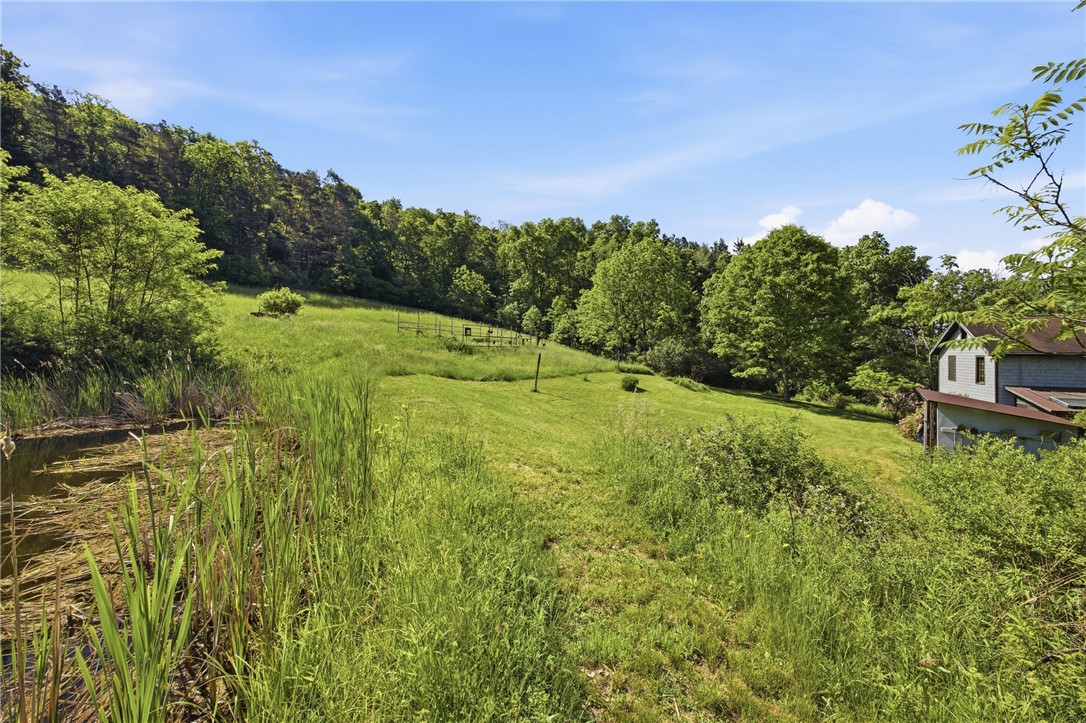 4140 Decamp Road Tyrone, NY 14837 - Photo 7 of 50