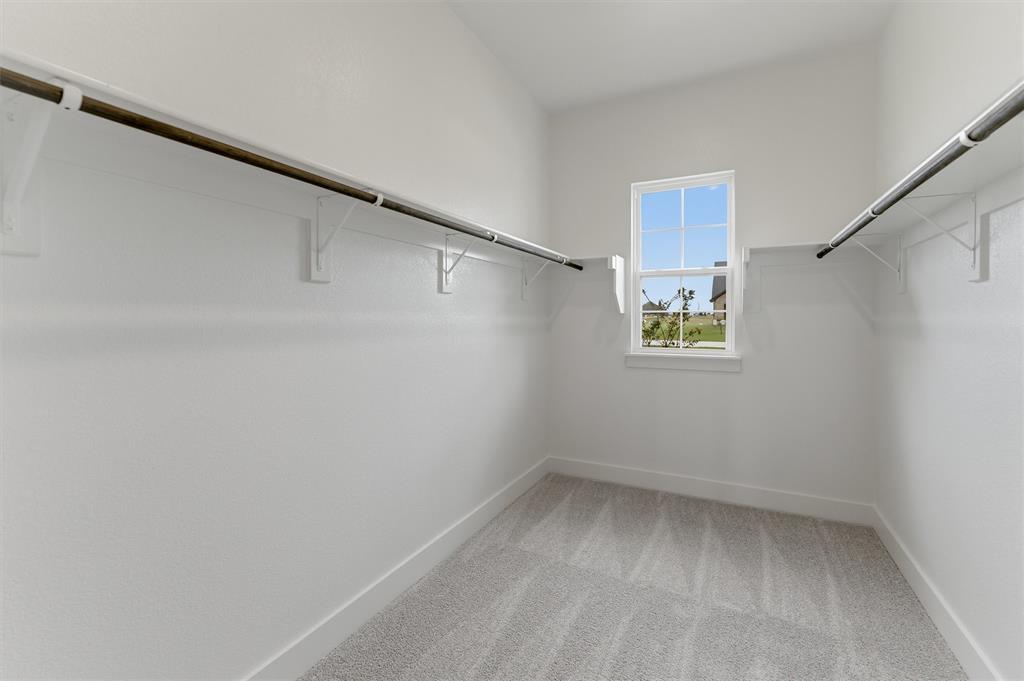 2204 Continent Court Krum, TX 76249 - Photo 14 of 28 Walk-in closet with window, light gray carpet, white baseboards, and built-in shelving with hanging rods
