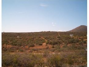 15 Prescott Dells Rnch Road Dewey, AZ 86327 - Photo 1 of 1 Primary Photo