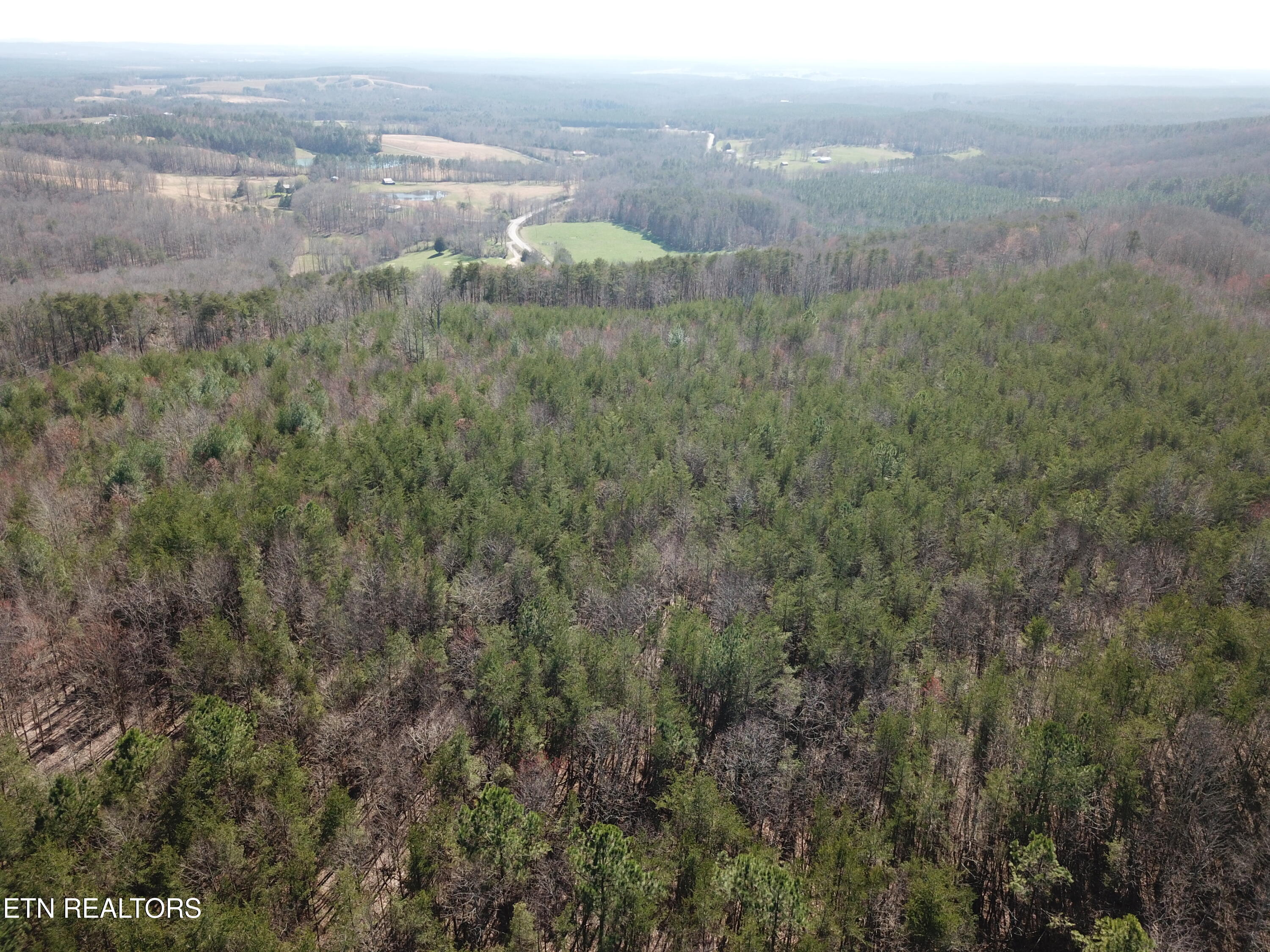 Buckridge Road Crossville, TN 38572 - Photo 6 of 26 DJI_0064