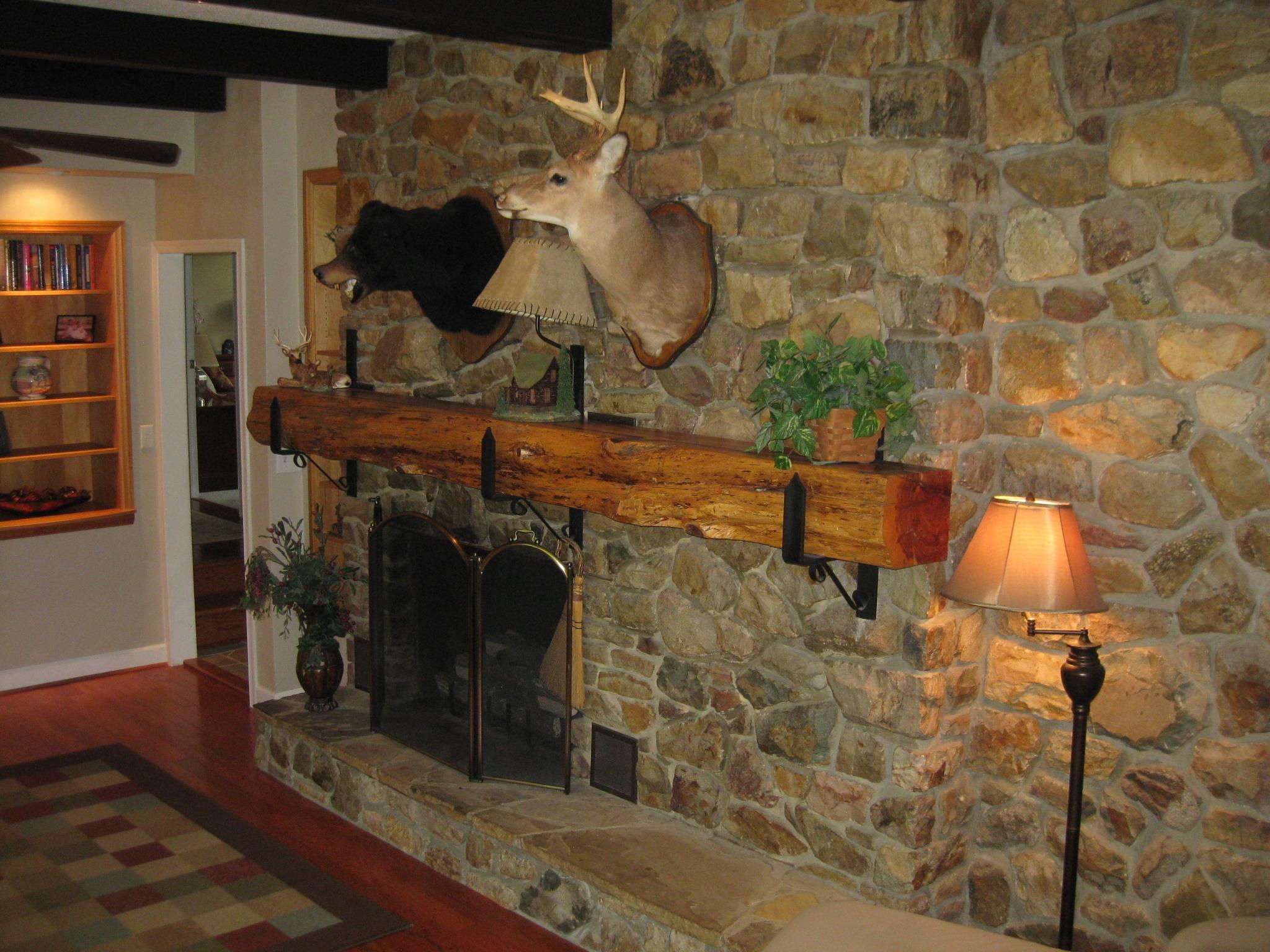 1132 Brake Road Elliston, VA 24087 - Photo 11 of 63 IMG_0593