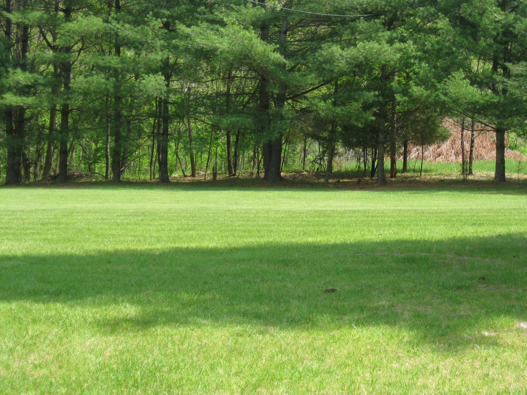 1132 Brake Road Elliston, VA 24087 - Photo 45 of 63 IMG_0616