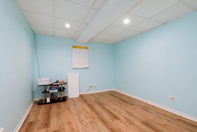 1175 Spring Creek Road Elgin, IL 60120 - Photo 20 of 25 Gallery Image 20