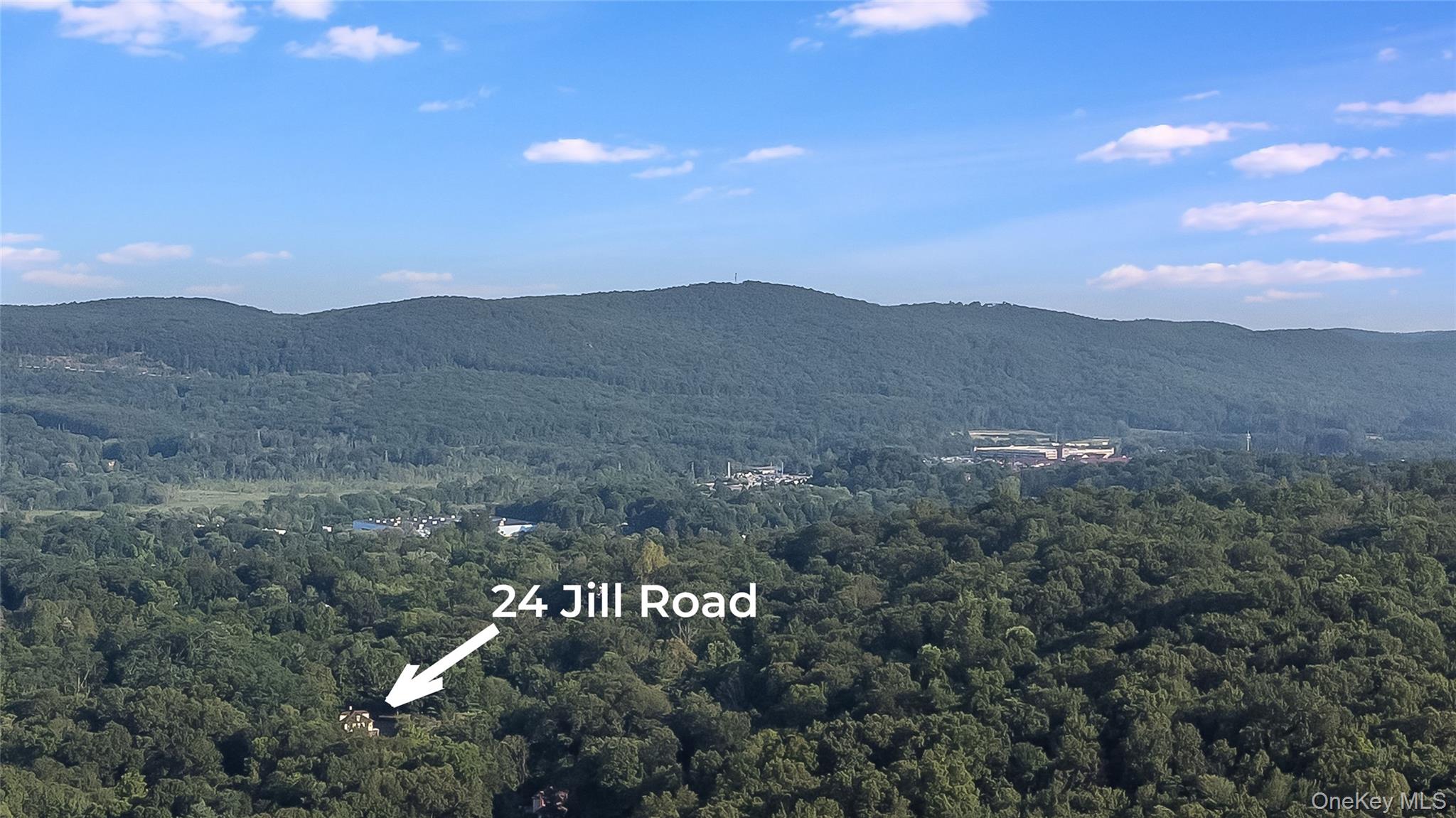 24 Jill Road Highland Mills, NY 10930 - Photo 40 of 43 View of mountain backdrop with a heavily wooded area