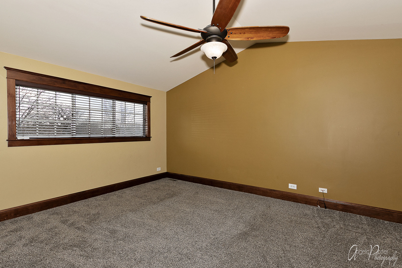 9832 North Hunters Lane Spring Grove, IL 60081 - Photo 15 of 30