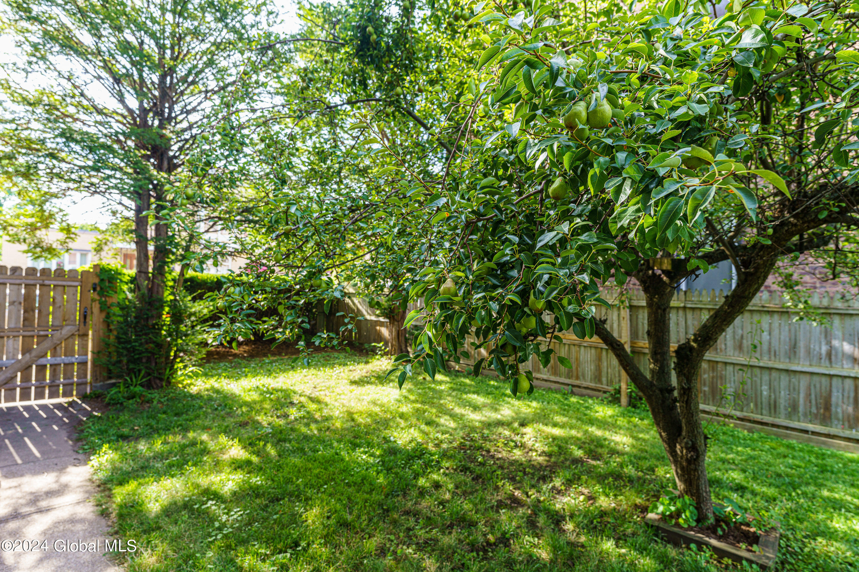 331 3rd Street Troy, NY 12180 - Photo 67 of 74 Yard 4