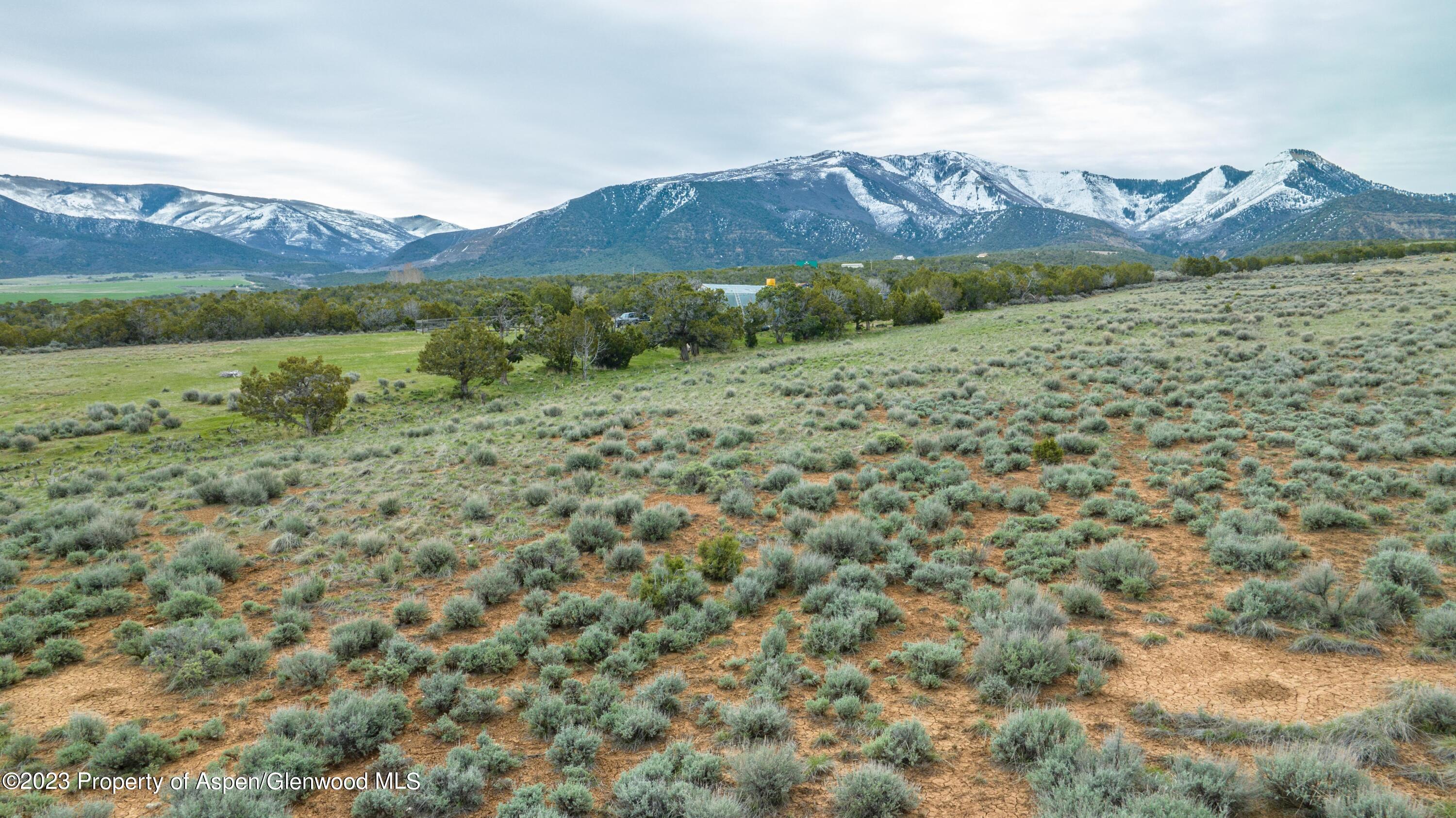 2345 County Road 306 Parachute, CO 81635 - Photo 21 of 29 a view of a forest with a mountain in the background