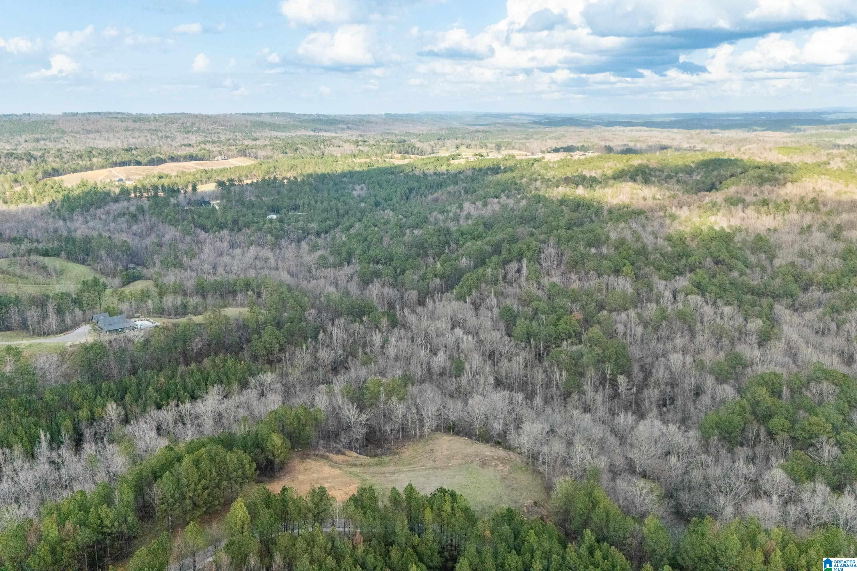 1321 Red Oak Road Helena, AL 35080 - Photo 11 of 12