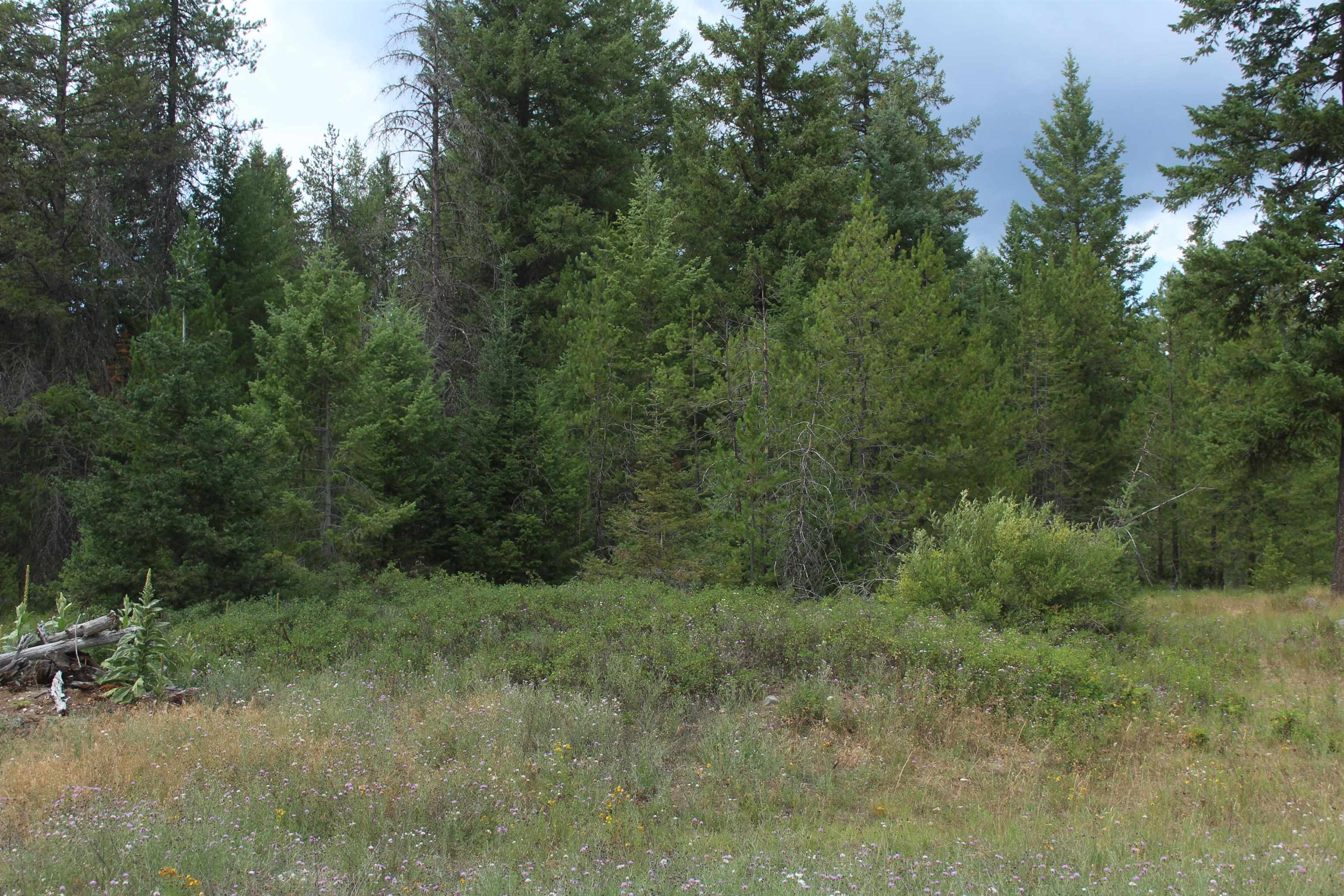 1-xx Tennant Road Newport, WA 99156 - Photo 4 of 13