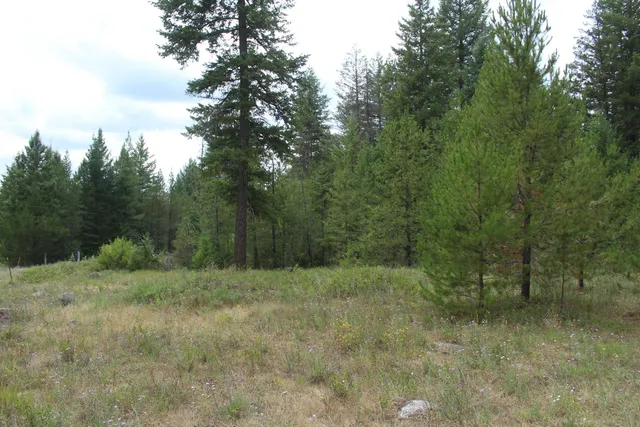 $105,000 | 1-xx Tennant Road, Newport, WA 99156