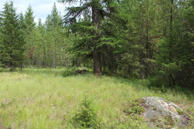 $105,000 | 1-xx Tennant Road, Newport, WA 99156