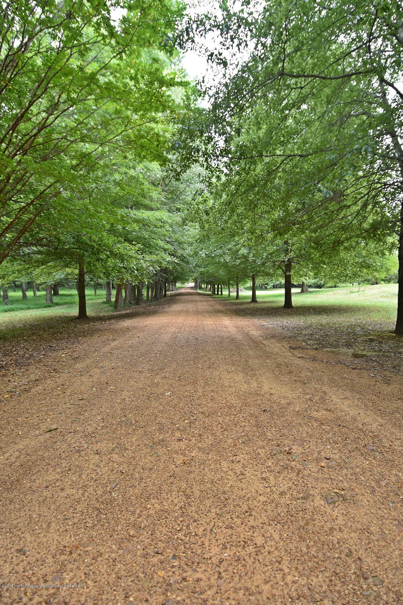 1980 West Oak Grove Road Hernando, MS 38632 - Photo 2 of 27 Tree- lined Driveway