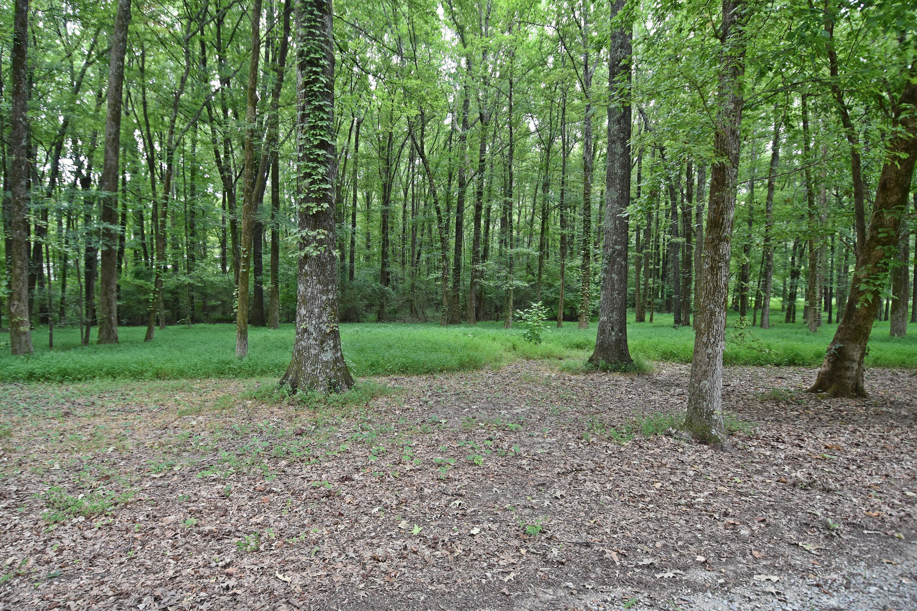 1980 West Oak Grove Road Hernando, MS 38632 - Photo 25 of 27 Property