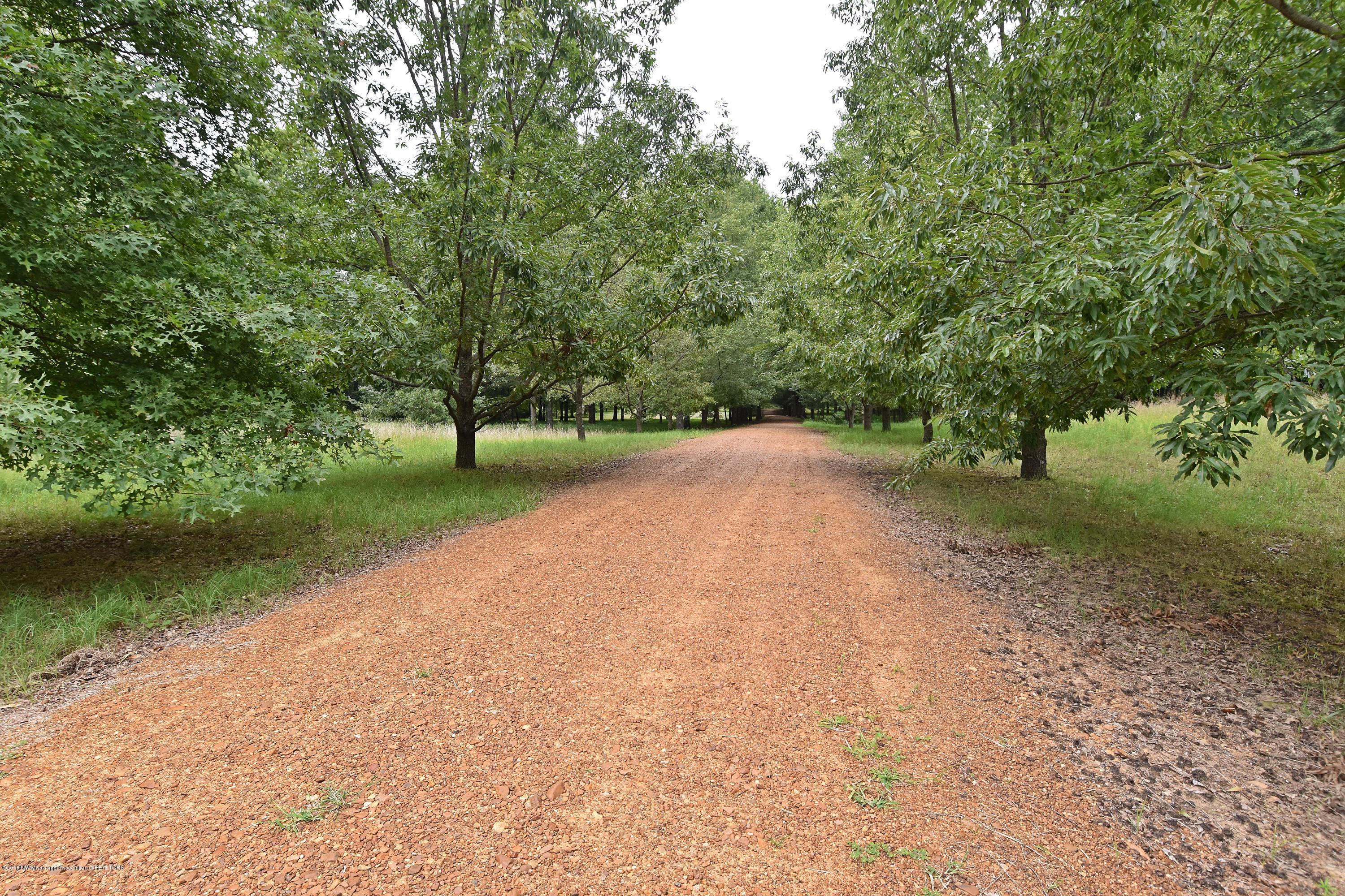 1980 West Oak Grove Road Hernando, MS 38632 - Photo 26 of 27 View From the Road