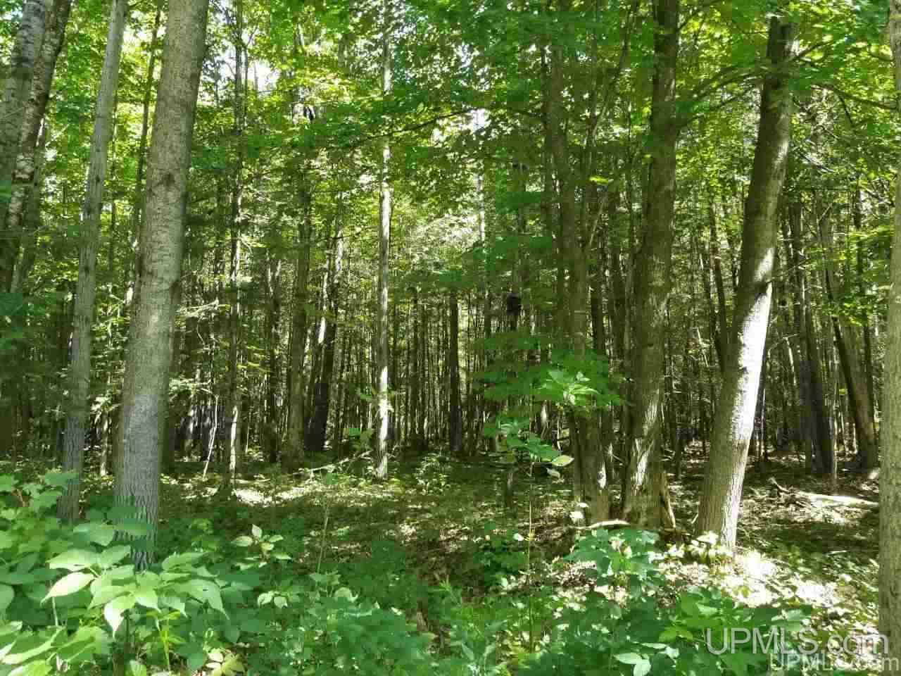 1446 West Kendall Road Manistique, MI 49854 - Photo 23 of 24
