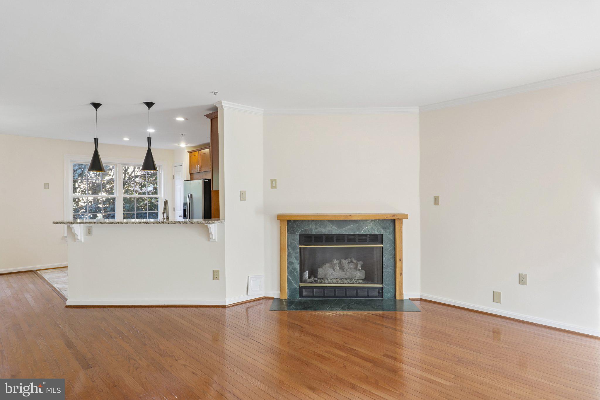 14214 Plum Run Way Silver Spring, MD 20906 - Photo 9 of 28