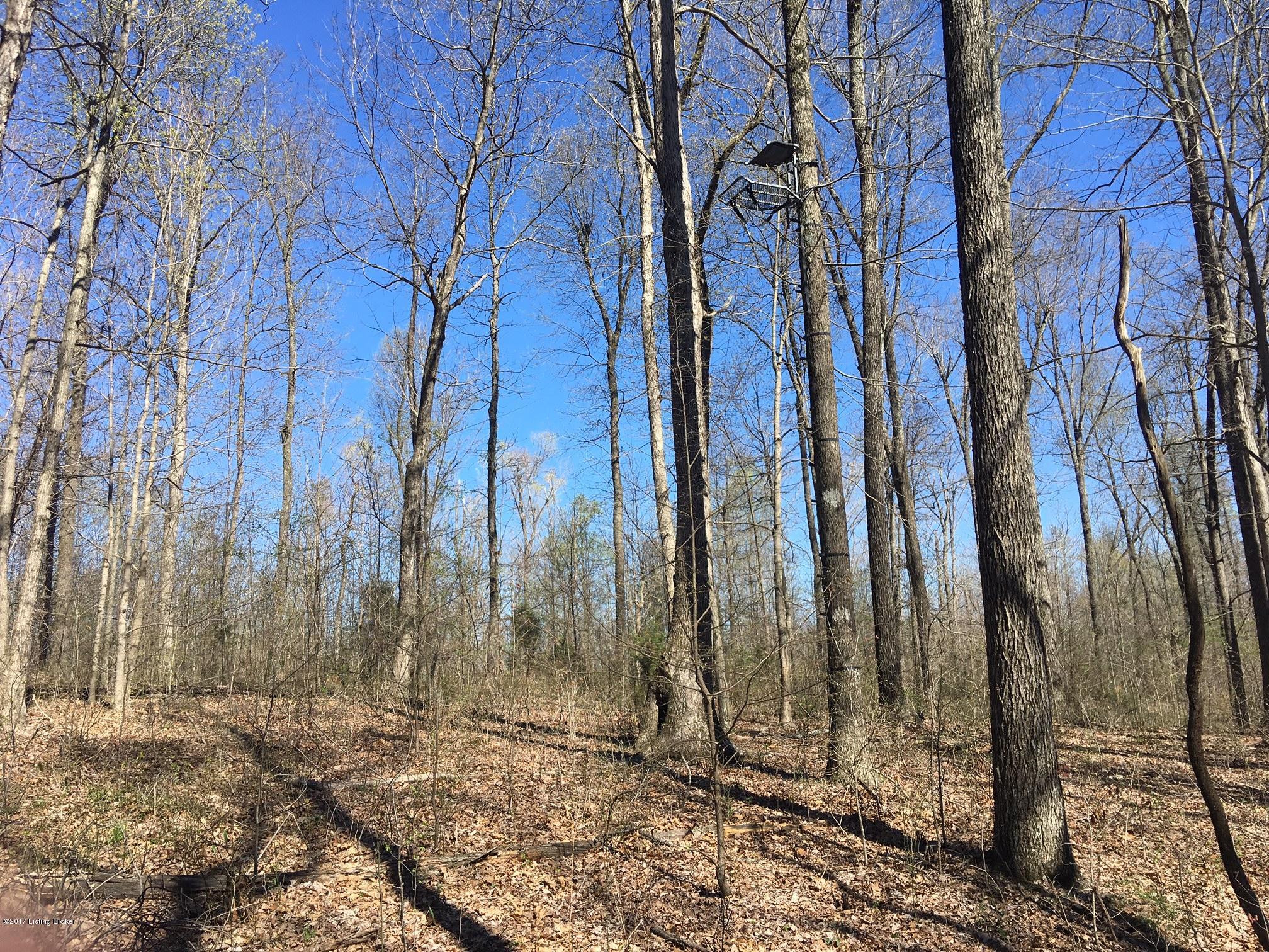0 Arnold Ridge Road Lewisburg, KY 42256 - Photo 10 of 36 10