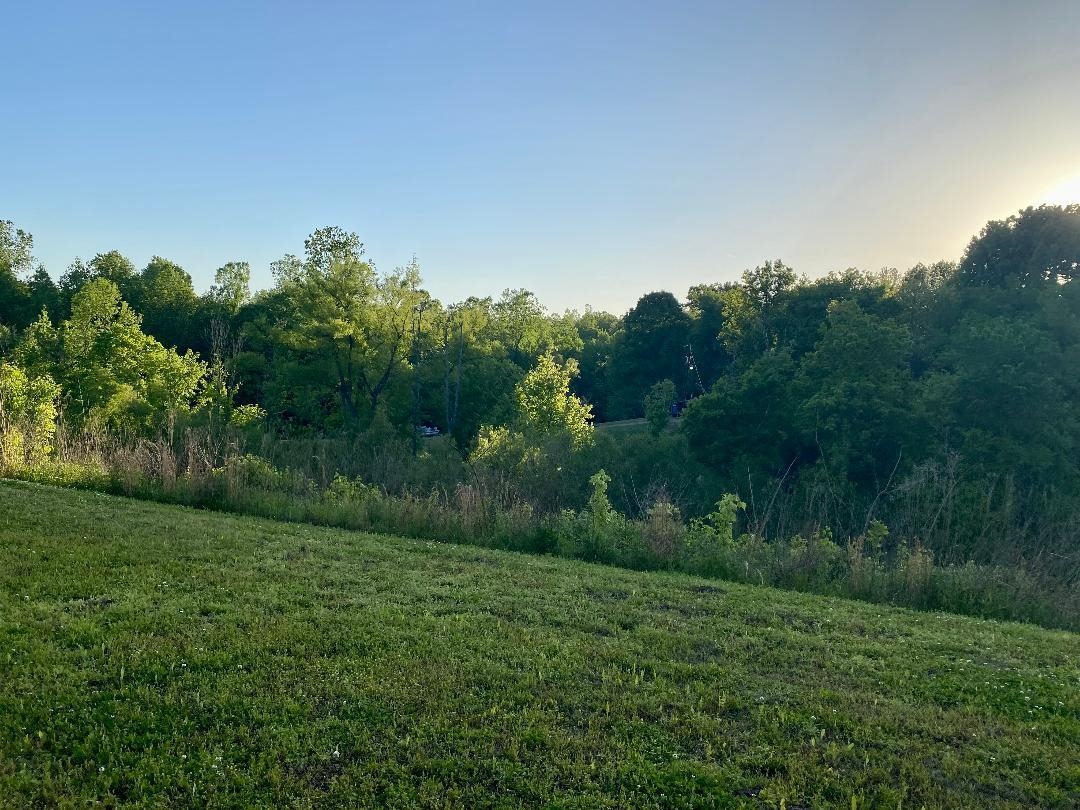 617 Baskins Road Burlison, TN 38015 - Photo 5 of 24 Gallery Image 5