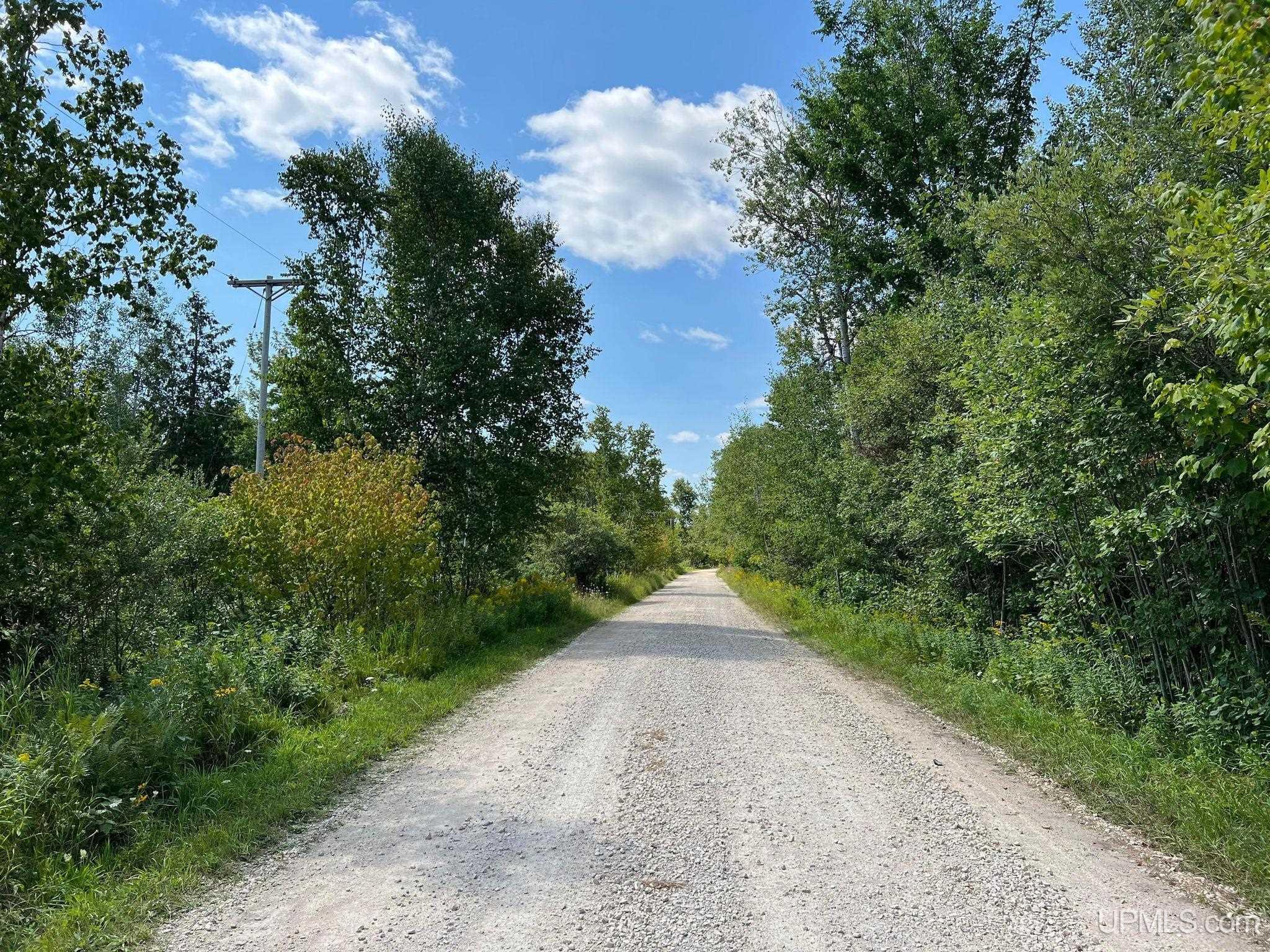 Tbd West Gulliver Lake Road Gulliver, MI 49840 - Photo 11 of 11