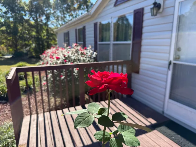 $239,900 | 149 Dalewood Lane, Rocky Mount, VA 24151