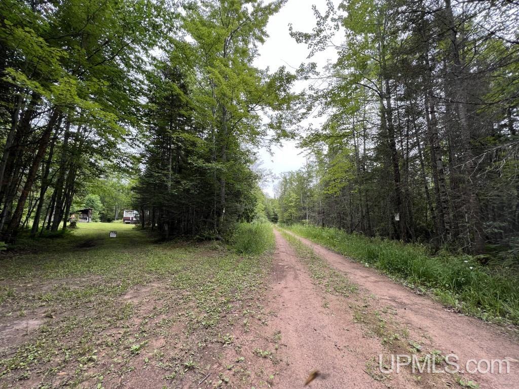 Tbd Tbd Stack Grade Little Lake Rock, MI 49880 - Photo 45 of 45